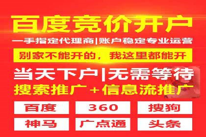 精准投放，高效转化——网站sem托管的胜利案例